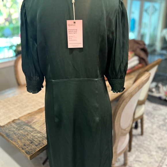 🌳NWT - QUINCE WASHABLE STRETCH SILK PUFF SLEEVE MINI DRESS - Picture 5 of 14